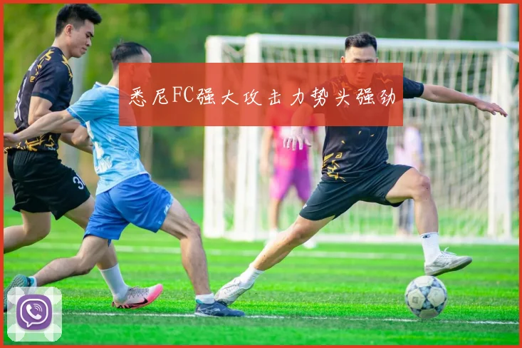 悉尼FC强大攻击力势头强劲