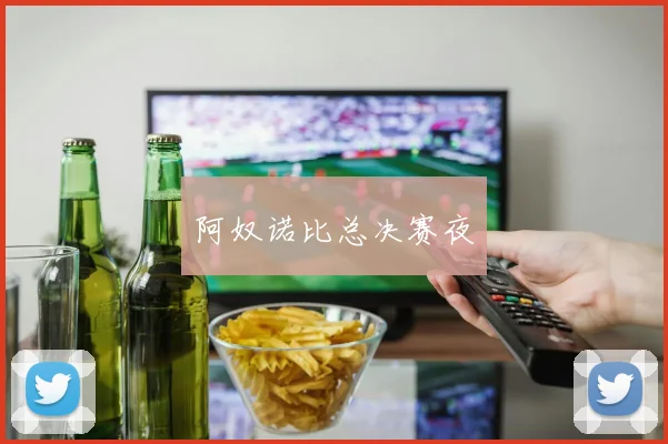 阿奴诺比总决赛夜