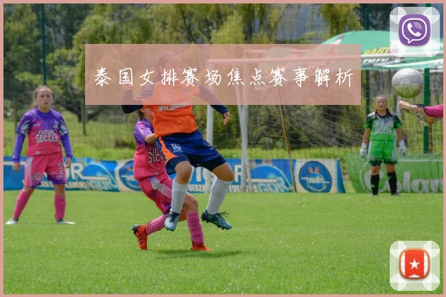 泰国女排赛场焦点赛事解析