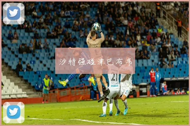 沙特强碰津巴布韦
