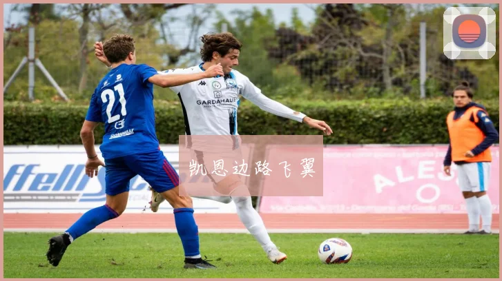 凯恩边路飞翼