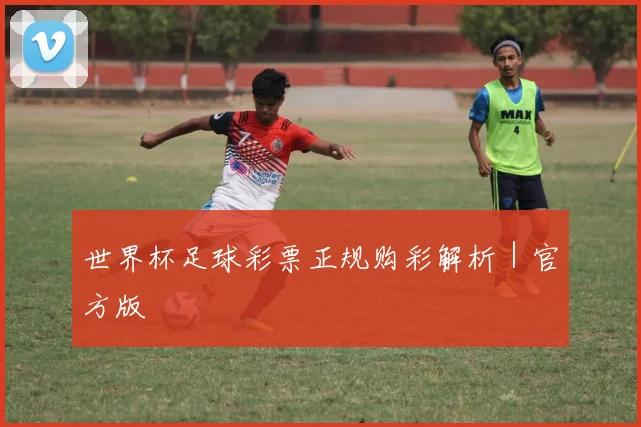 世界杯足球彩票正规购彩解析｜官方版