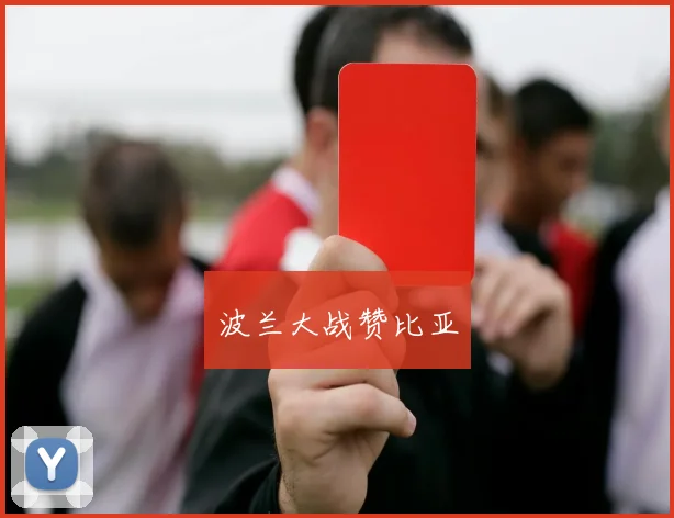 波兰大战赞比亚