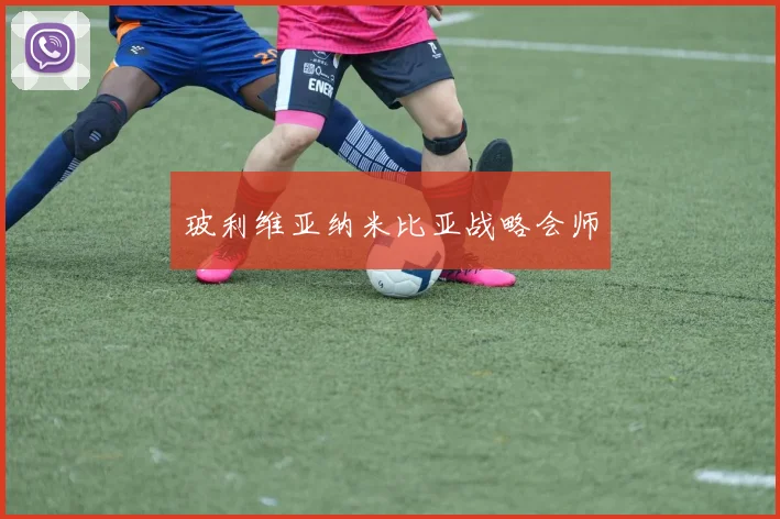 玻利维亚纳米比亚战略会师