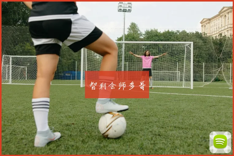 智利会师多哥