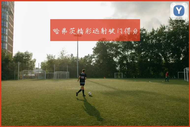哈弗茨精彩远射破门得分