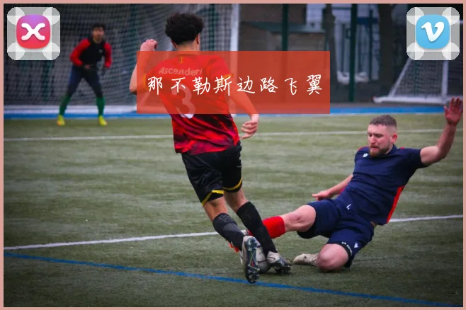 那不勒斯边路飞翼
