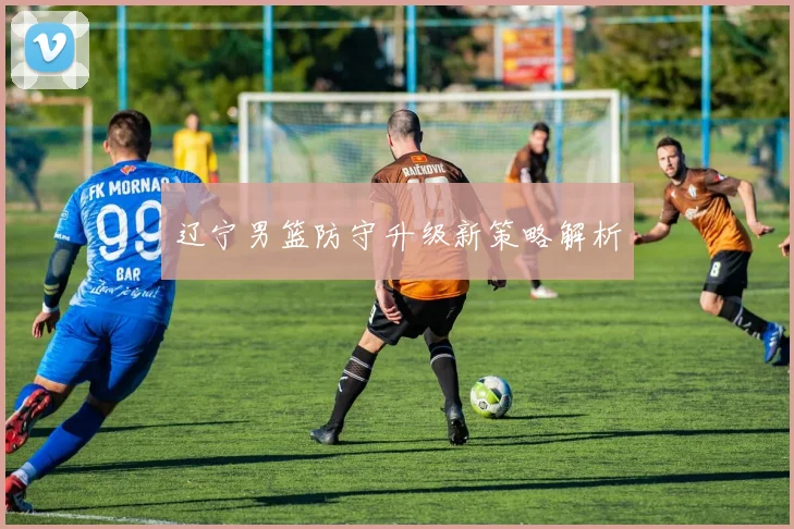 辽宁男篮防守升级新策略解析