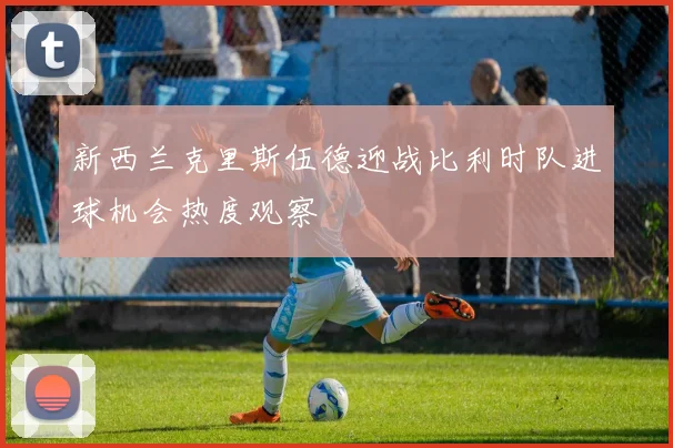 新西兰克里斯伍德迎战比利时队进球机会热度观察