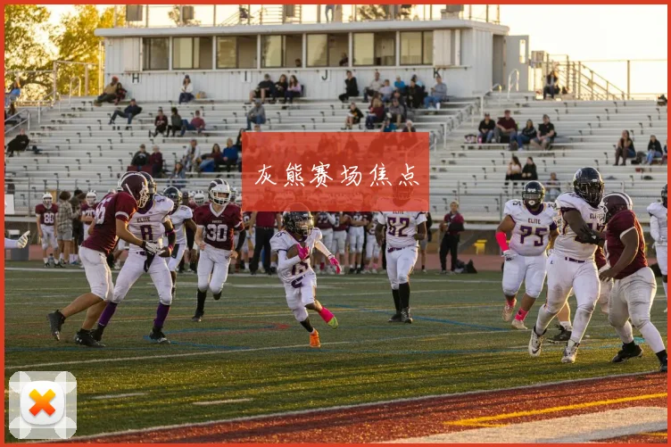 灰熊赛场焦点