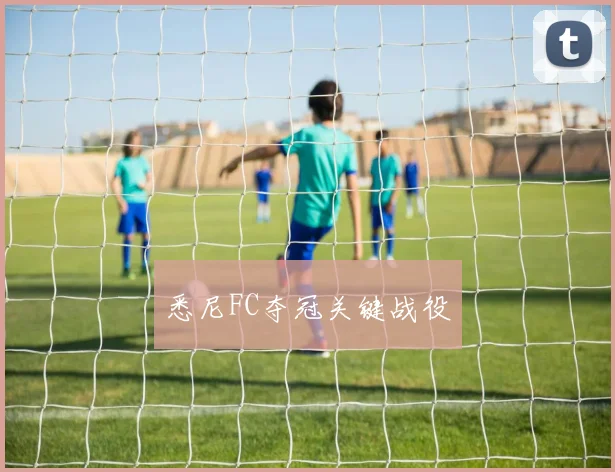 悉尼FC夺冠关键战役