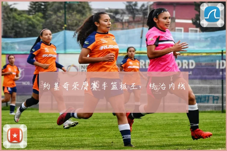 约基奇荣膺赛季篮板王，统治内线