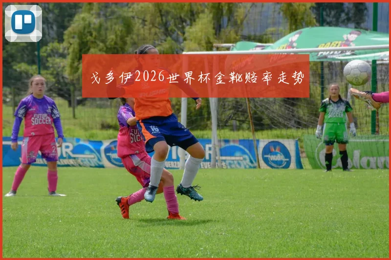 戈多伊2026世界杯金靴赔率走势