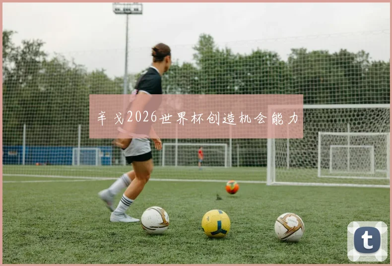 辛戈2026世界杯创造机会能力