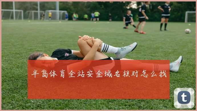 半岛体育全站安全域名核对怎么找