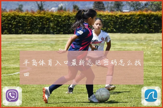 半岛体育入口最新忘记密码怎么找回